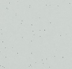 Линолеум Forbo Sphera Energetic 50205 inox фото 1 | FLOORDEALER